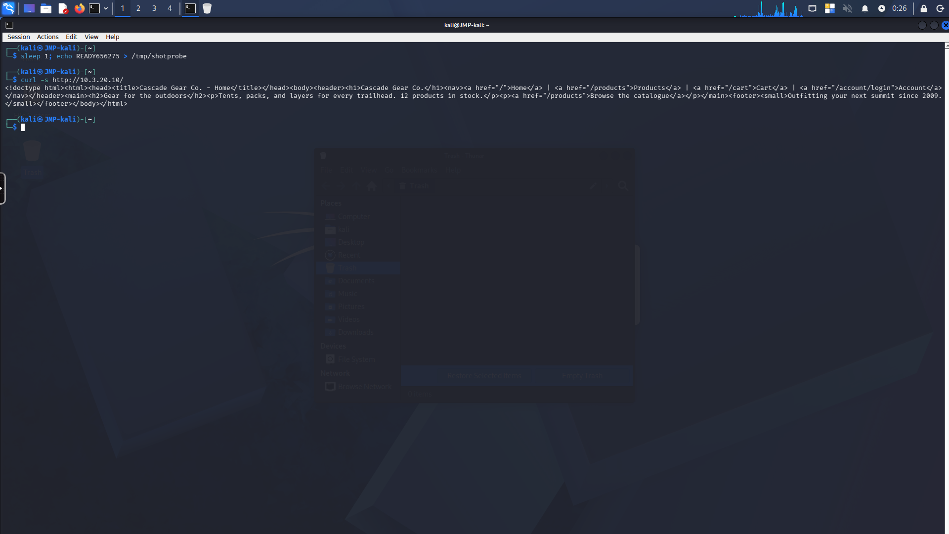 Recon against the storefront, attacker view